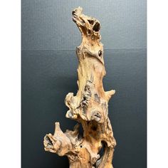 a piece of driftwood that has been placed on the wall for display or to be used as a sculpture