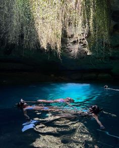 two people swimming in the water with trees hanging from the ceiling and vines growing over them