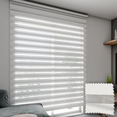 a living room with grey walls and white blinds