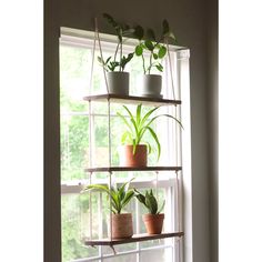 some plants are sitting on shelves in front of a window