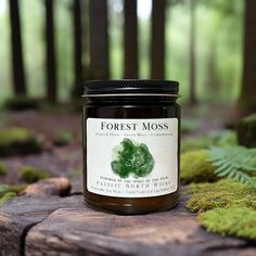 a jar of forest moss sits on a log in the woods