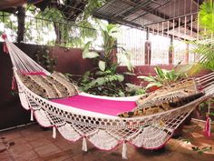 a hammock with two tigers in it and some plants on the other side