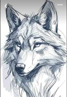 a drawing of a wolf with blue eyes