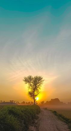 the sun is setting behind a lone tree on a dirt road in an open field