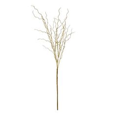 a bare tree with no leaves is shown on a white background in this image, it looks like branches have been sprout from the ground