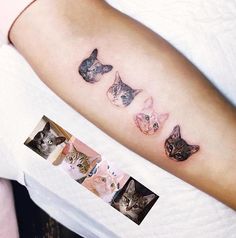 a woman's arm with cats on it and four different pictures behind her tattoo