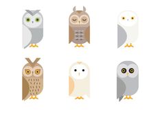 six owls are shown in different colors and sizes