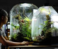 a woman standing in front of an aquarium filled with plants and other things on top of a wooden table