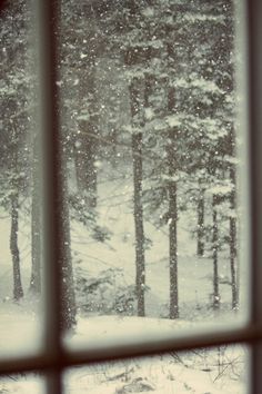 snow falling outside the window in front of some trees