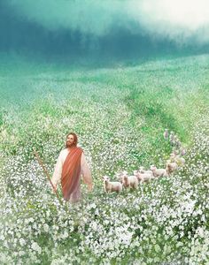 a painting of jesus walking through a field full of white flowers with sheep in the background