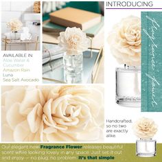 Our elegant new Fragrance Flower releases beautiful scent while looking lovely in any space. Just set it out and enjoy — no plug, no problem. Scentsy Fragrance Flower, Perfume Versace, Scentsy Fall, Flower Diffuser, Best Home Fragrance, Aloe Water, Unique Fragrance