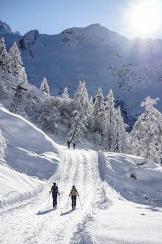 two people skiing down a snow covered mountain side road with trees on both sides and mountains in the background