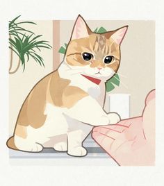 an orange and white cat sitting on top of a window sill next to a plant