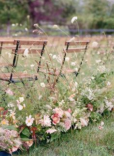 a bunch of flowers that are sitting in the grass near a bench and trash can