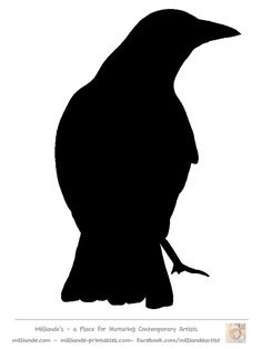 a black bird sitting on top of a white background