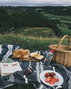 a picnic with bread and strawberries on a blanket