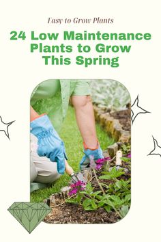 the front cover of a book with gardening tools in it and flowers growing on the ground