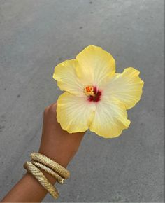 a person's hand holding a yellow flower with a red stamen on it