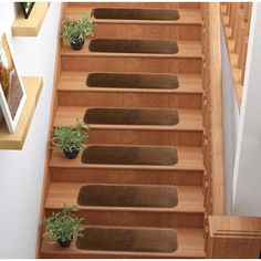 the stairs are lined with plants and potted plants