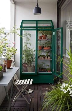 a green glass case filled with plants sitting on top of a wooden floor next to a window