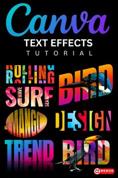 an advertisement with the words, text effects and colorful birds on it's black background