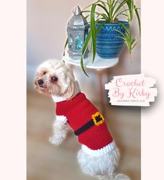 a small white dog wearing a red and yellow knitted sweater next to a potted plant