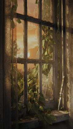 the sun is shining through an open window with ivy growing on it and curtains hanging down