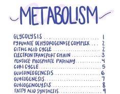 MCAT Metabolism Pathways PDF Biochemistry Metabolism Pathways, Metabolism Notes Biology, Metabolism Biochemistry, Microbiology Study, Metabolic Pathways, Med Notes, Citric Acid Cycle, Med Lab, Electron Transport Chain