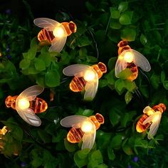 several lights that look like bees are in the grass with leaves around them and on top of each other