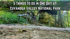 stairs leading up to the top of a mountain with text that reads 5 things to do in cayooga valley national park in one day