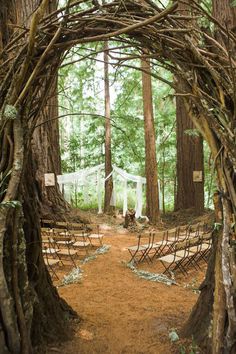 an arch made out of branches and chairs in the woods with white fabric draped over it