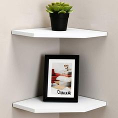 two white floating shelves with plants and pictures on the top one shelf has a small potted succulent in it