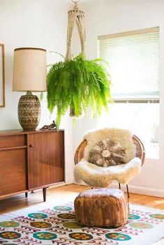 a living room with a chair, rug and potted plant