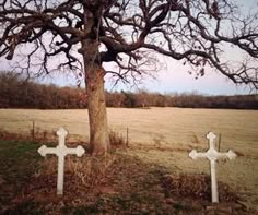 two white crosses sitting next to a tree in the middle of a grass covered field