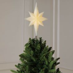 a small christmas tree with a white star on top