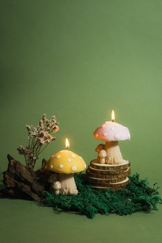 two mushrooms sitting on top of a pile of moss