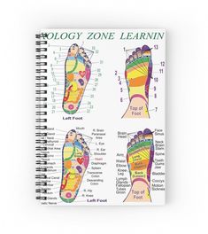 Buy "Foot Reflexology Zone Learning Chart" by heartsforlove as a Journal Art Infographic, Paranasal Sinuses, Educational Chart, Reflexology Chart, Too Much Estrogen, Dancer Workout