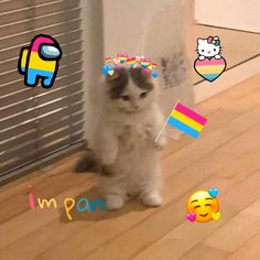 a cat standing on its hind legs in front of a wall with stickers around it