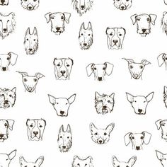 a bunch of dogs heads drawn in black and white on a white background stock photo