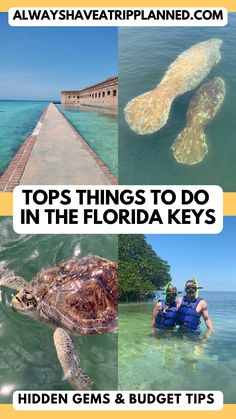 the top things to do in florida keys