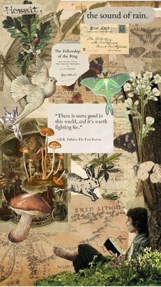 a collage of images with words and pictures on the side, including birds, mushrooms, butterflies, plants, and trees