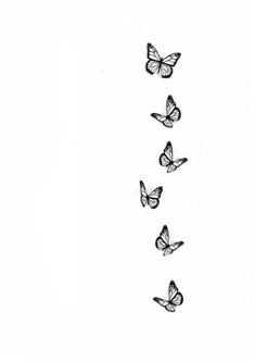 four butterflies flying in the air on a white background