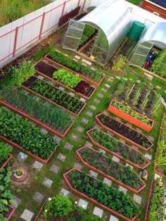 an aerial view of a garden with many plants