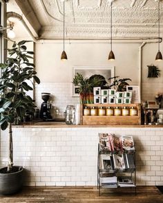 the interior of a coffee shop with potted plants on the counter and bookshelves