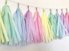 tissue tassels hanging on a string in pastel colors are hung from the wall