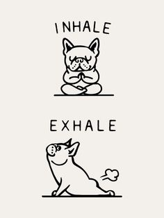 an animal with the words inhale and exhale