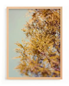 These lovely trees line the path to my favorite Lake Michigan beach. I always take time to photograph them before I turn my lens to the water. This print is part of a large collection of botanical photographs, and would look lovely displayed on its own or as part of a gallery. Lake Michigan Beach, Lake Michigan Beaches, Michigan Beaches, Custom Art Print, Modern Blue, Spring Photography, Spring Art, Summer Prints, Limited Edition Art Print