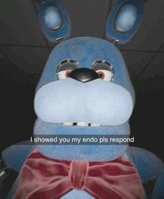 a blue stuffed animal with a red bow around its neck and the words i showed you my endo plis respond