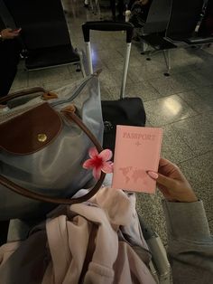 a person holding a pink passport in their hand