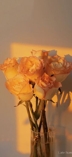 some yellow roses in a glass vase on a white table with sunlight coming through the window